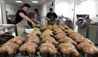 La colombe de Pâques