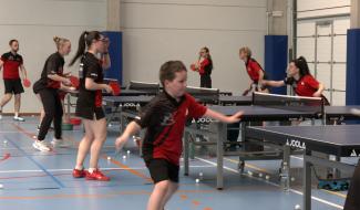 Tennis de table : relève assurée à la Palette Neufvilles Senne