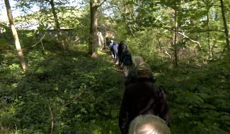 Carnières: balade dans le Bois d'Hairmont pour le collectif des Sentiers de la Haute Haine