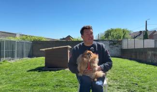 POIL A GRATTER : l'achat d'animaux