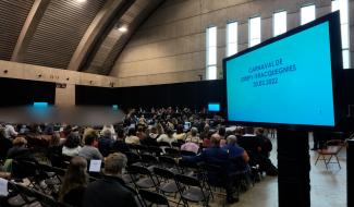 Procès Falzone : les vidéos et le comportement des acusés