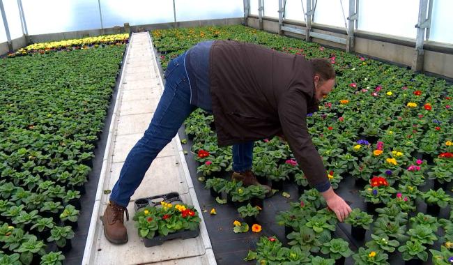 Horticulteurs : même combat que les agriculteurs