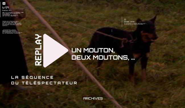 La Séquence du Téléspectateur