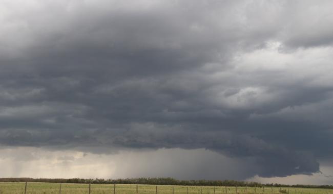 Tempête Goretti : 200 interventions liées au vent pour les pompiers de la zone de secours Hainaut Centre