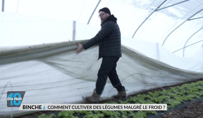 À la Ferme du Phénix, on maintient ses cultures malgré la neige et le froid