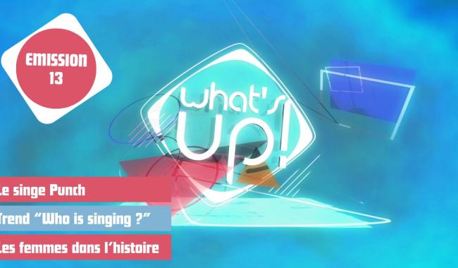 What's Up ! - Emission 13