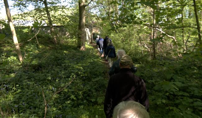 Carnières: balade dans le Bois d'Hairmont pour le collectif des Sentiers de la Haute Haine