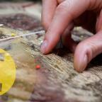 Le Point C : l'art de la conservation.