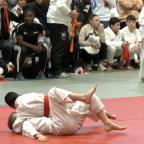 Le tournoi du Judo Club 2 Haine toujours aussi populaire