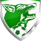 La Louvière Centre lourdement sanctionnée par l'ACFF