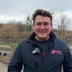 POIL A GRATTER : les cochons dits nains