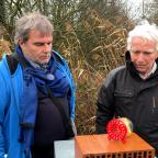 La Louvière mobilise ses citoyens contre les frelons asiatiques