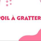 POIL A GRATTER : votre animal a disparu