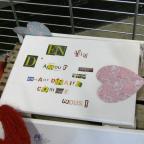 Bien-être : enVIE d'amour pour tous