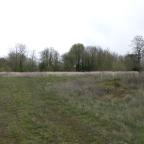 Braine le Comte : l'avenir du site Catala