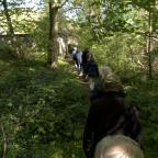 Carnières: balade dans le Bois d'Hairmont pour le collectif des Sentiers de la Haute Haine