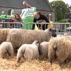 Écaussinnes : un "Village Fermier" pour créer du lien entre les citoyens et les agriculteurs