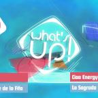 What's Up ! - Emission 17