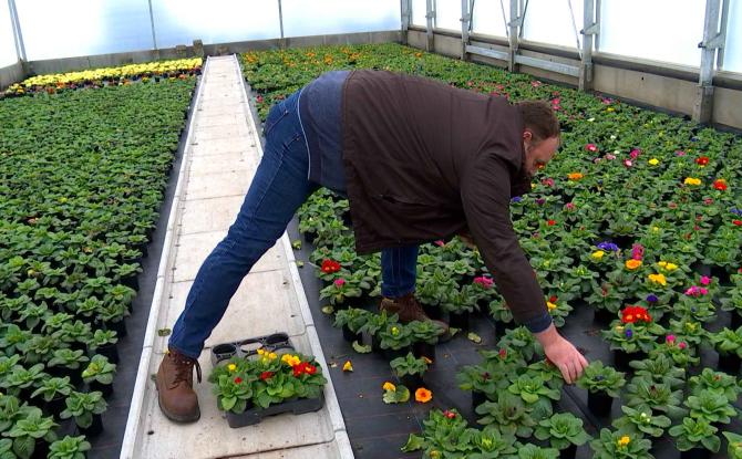 Horticulteurs : même combat que les agriculteurs