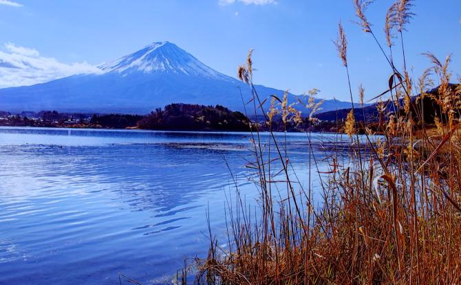 Binche : un voyage photographique à travers le Japon