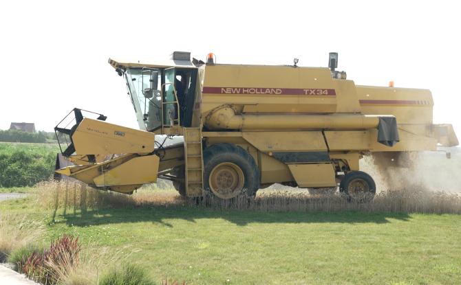 Agriculture : La moisson perturbée par les intempéries