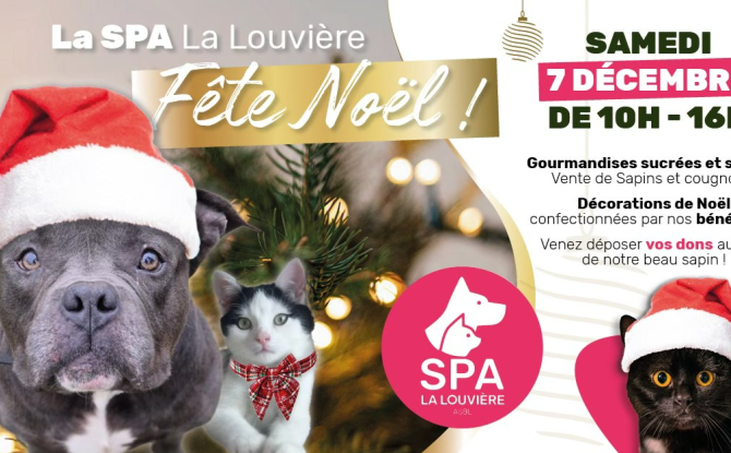 SPA-La Louvière : le Marché de Noël maintenu mais délocalisé