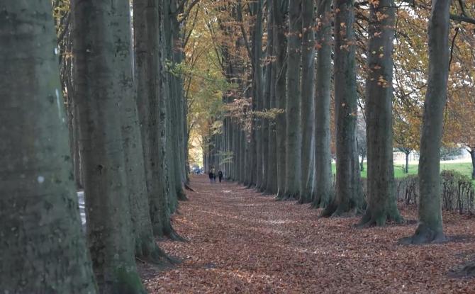 C'EST ICI QUE CA SE PASSE - 24/11/2025