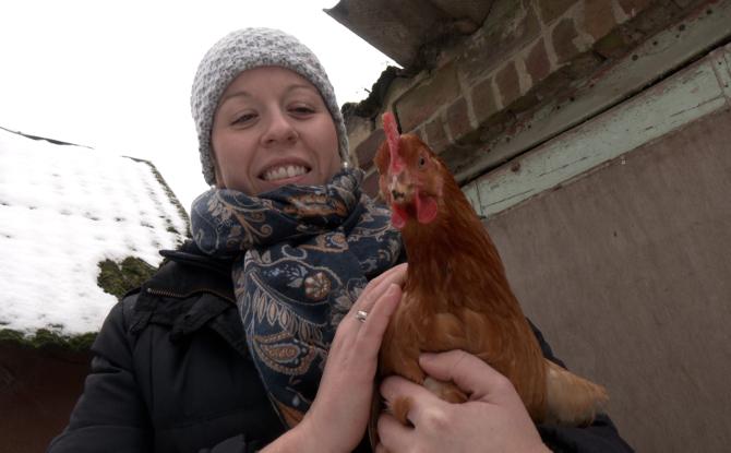 Le Roeulx : vol d'oeufs en libre service