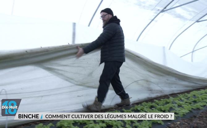 À la Ferme du Phénix, on maintient ses cultures malgré la neige et le froid
