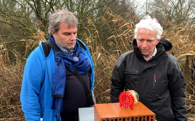 La Louvière mobilise ses citoyens contre les frelons asiatiques