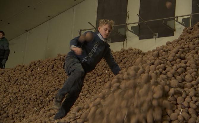 Pommes de terre : un producteur brainois offre son surplus
