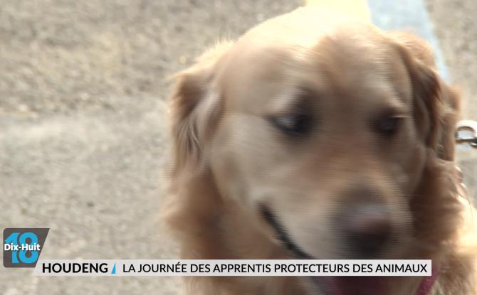 La journée des apprentis protecteurs des animaux