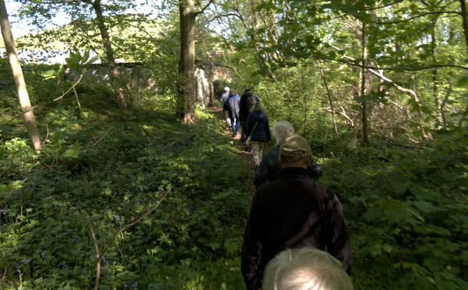 Carnières: balade dans le Bois d'Hairmont pour le collectif des Sentiers de la Haute Haine