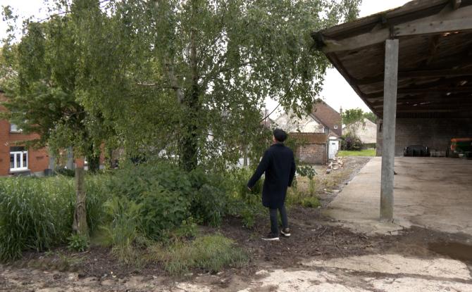 Écaussinnes: quelle est cette tradition de l'arbre de mai au Goûter Matrimonial ?